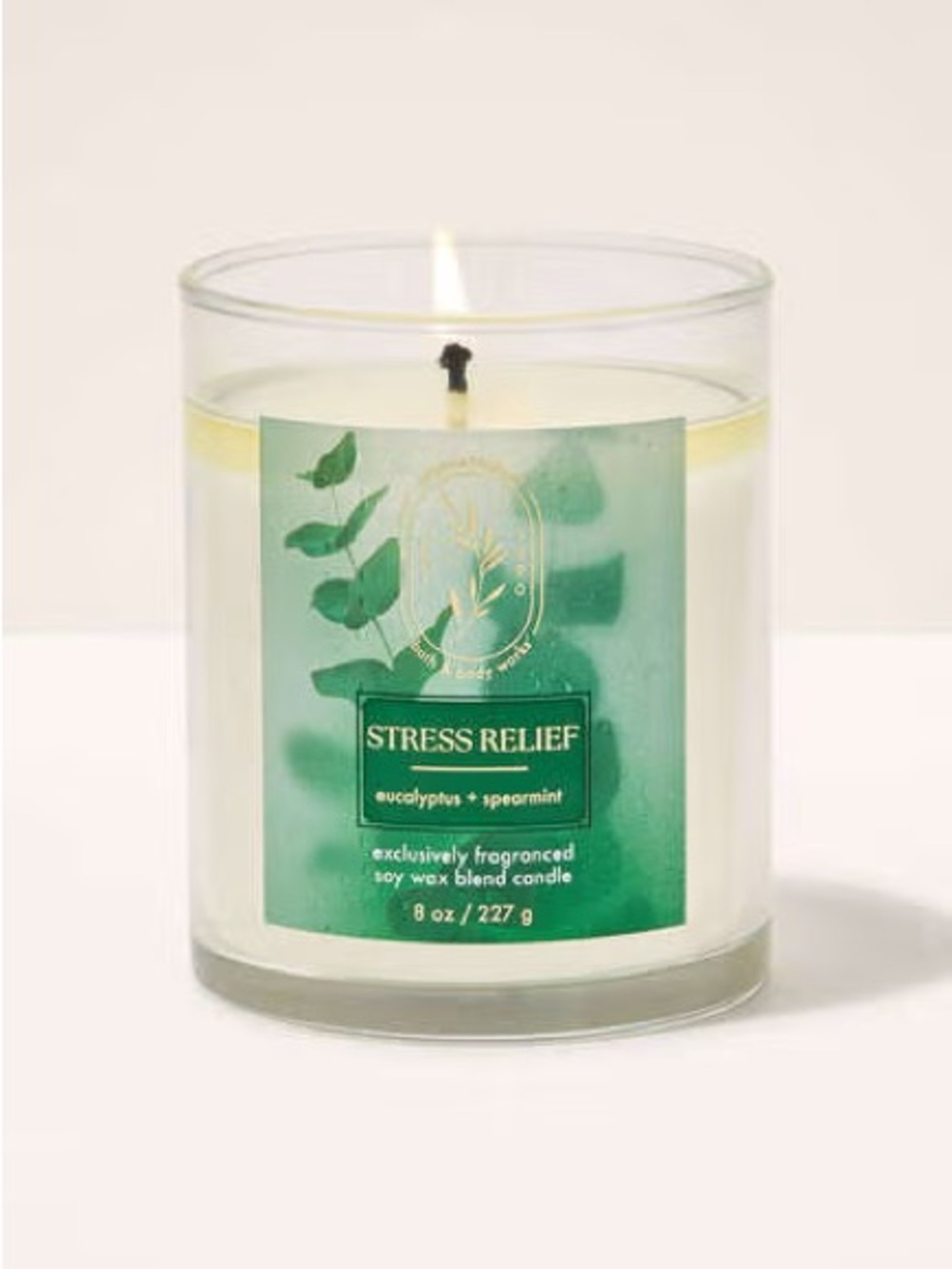 Bath & Body Works Stress Relief Eucalyptus and Spearmint One Wick New